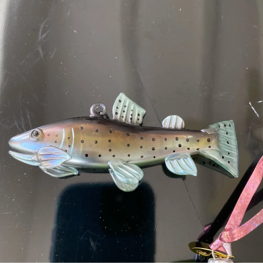 None fishing enthusiast